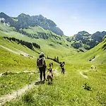 Apartament Moulin Ml170 Telecabine & Nature 3 Pers Châtel