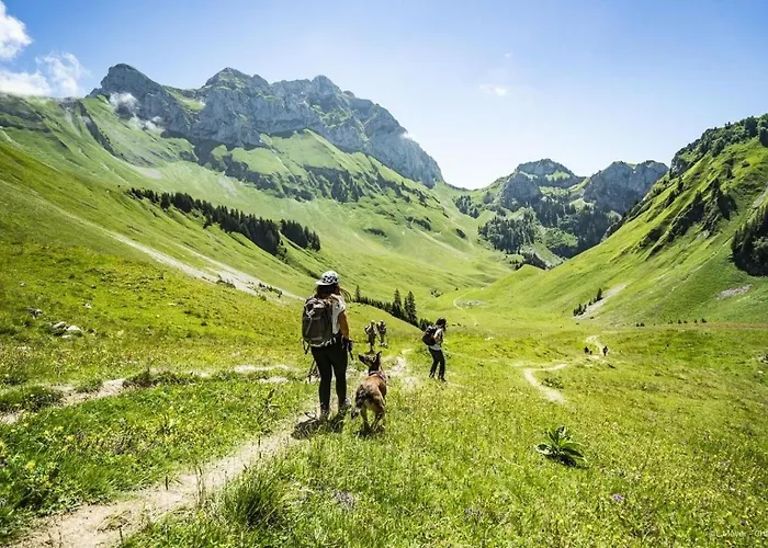 アパート Moulin Ml170 Telecabine & Nature 3 Pers シャテル